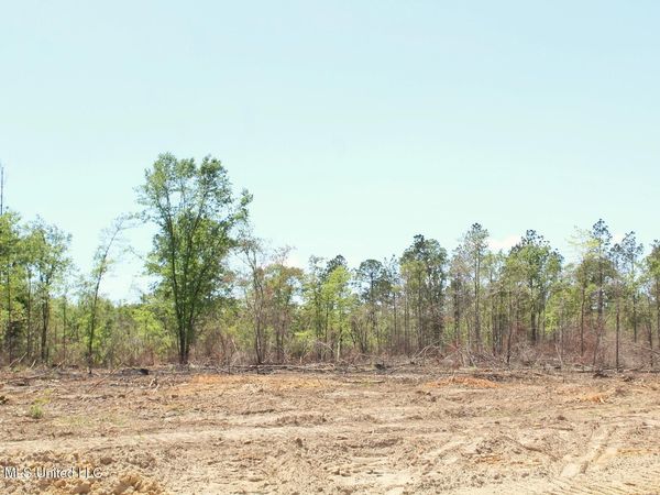 3.67ac Cottonwood Drive, Lucedale, MS 39452