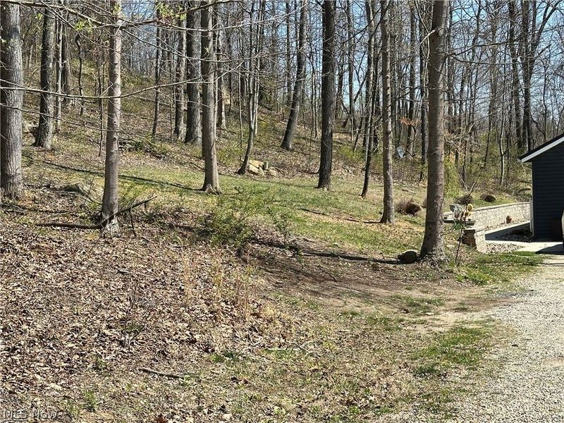 26296 Joe Day Road, Quaker City, OH 43773 Photo 27