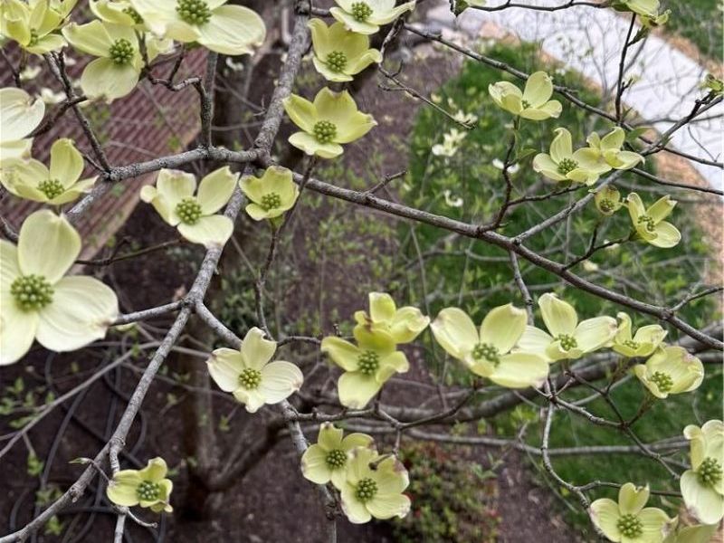 3605 E Salinas Circle, Sugarcreek Township, OH 45440 Photo 75