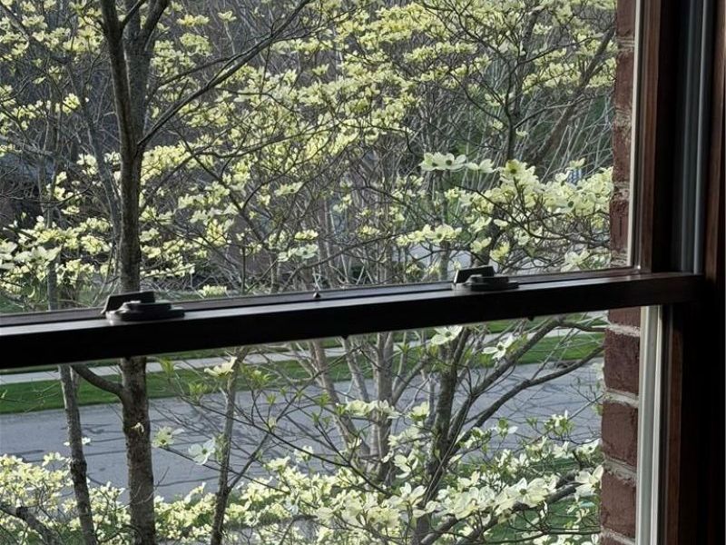 3605 E Salinas Circle, Sugarcreek Township, OH 45440 Photo 77