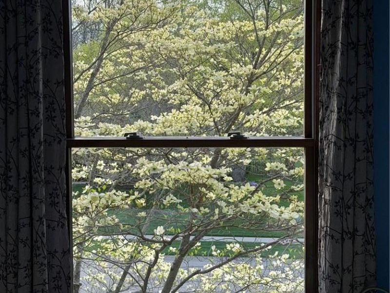 3605 E Salinas Circle, Sugarcreek Township, OH 45440 Photo 77