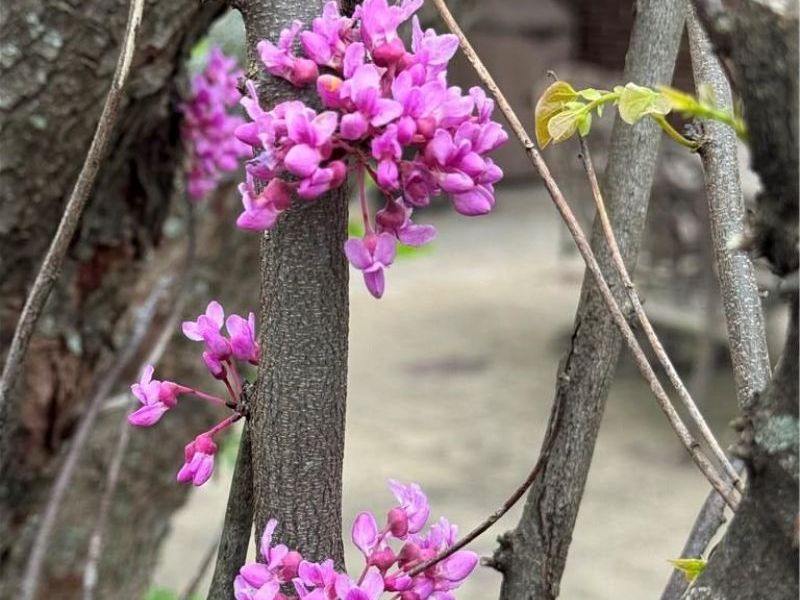 3605 E Salinas Circle, Sugarcreek Township, OH 45440 Photo 78