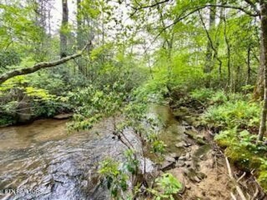 Property Image 60
