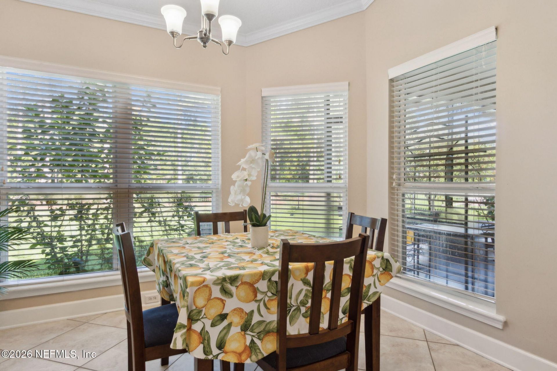 1372 Eagle Crossing Drive, Orange Park, FL 32065 Photo