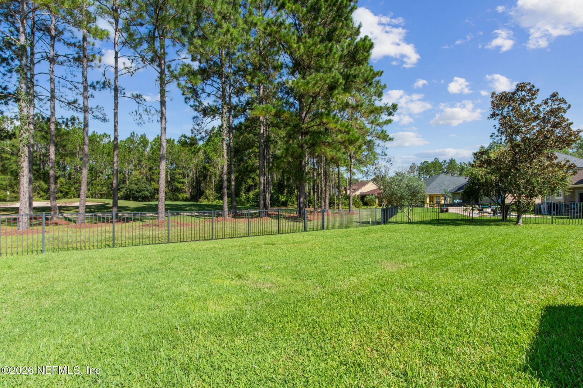 1372 Eagle Crossing Drive, Orange Park, FL 32065 Photo