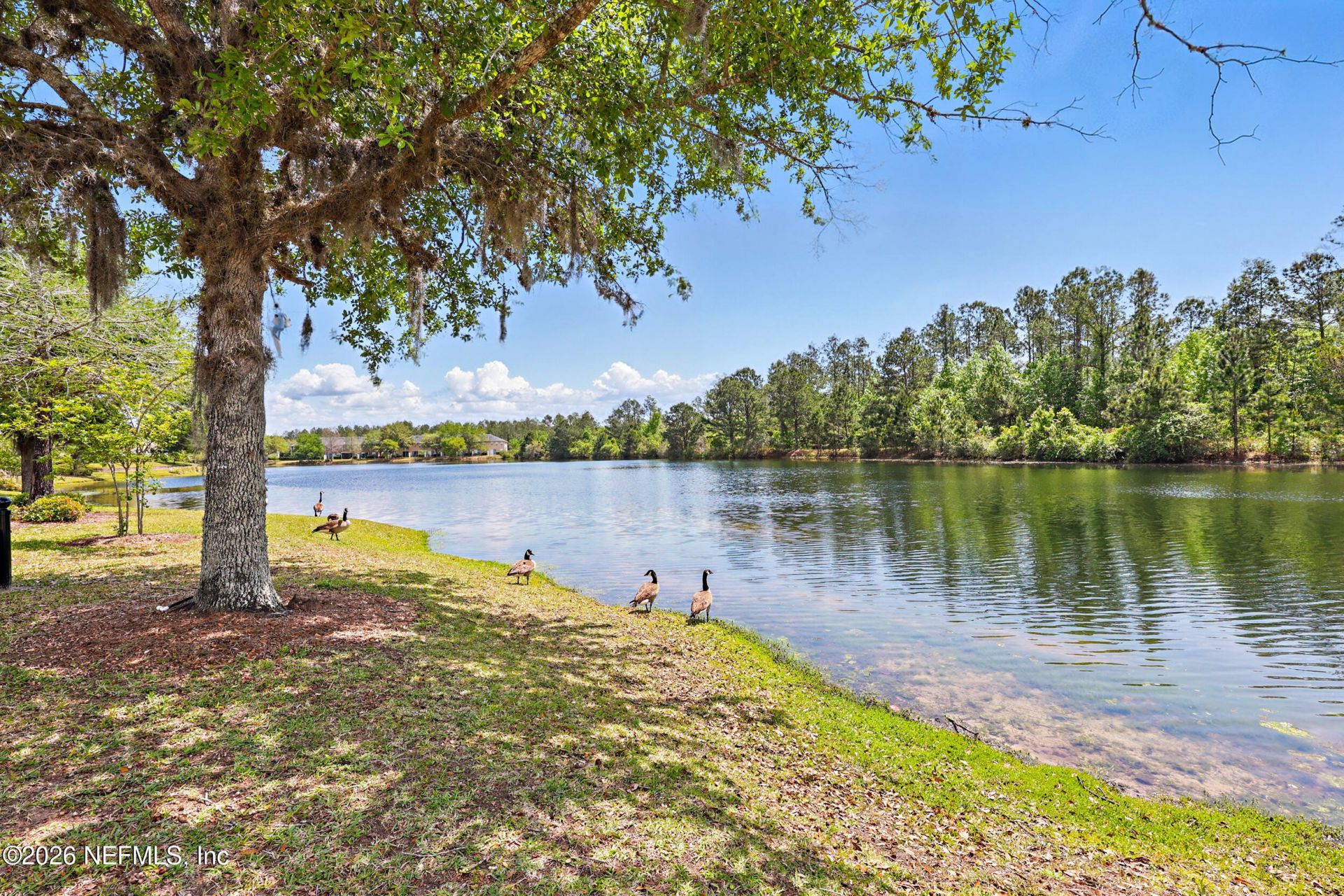 3650 Creswick Circle, Unit C, Orange Park, FL 32065 Photo