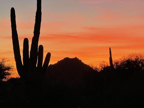 33633 N 84TH Street, Scottsdale, AZ 85266