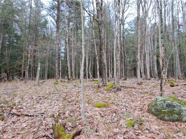 Sweet Point Rd, Alexandria Bay, NY 13607