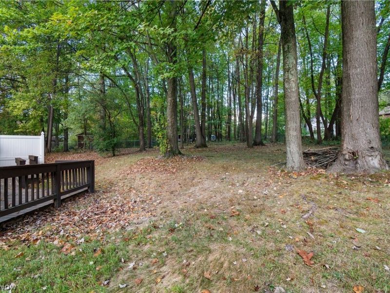 527 S Frank Boulevard, Akron, OH 44313 Photo 28