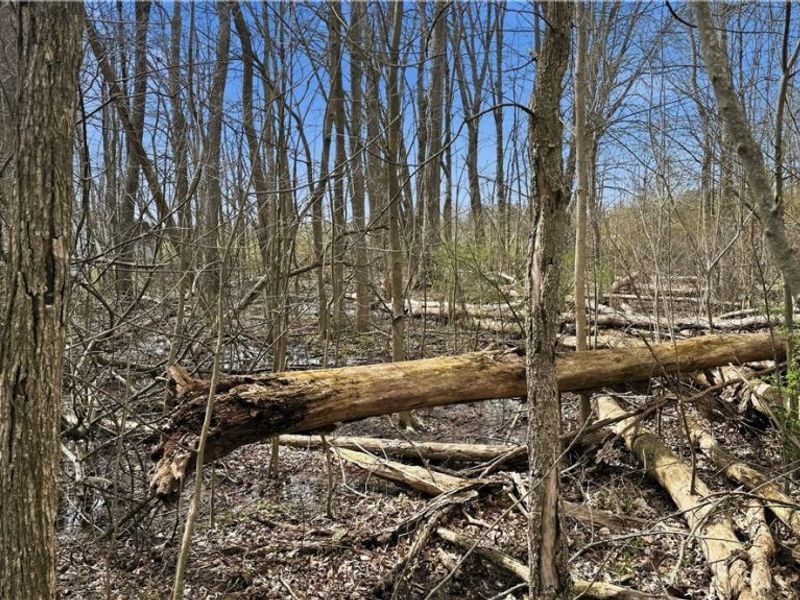 3320 Sandy Lane, Avon, OH 44011 Photo 10