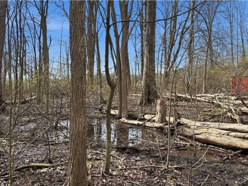 3320 Sandy Lane, Avon, OH 44011 Photo 11