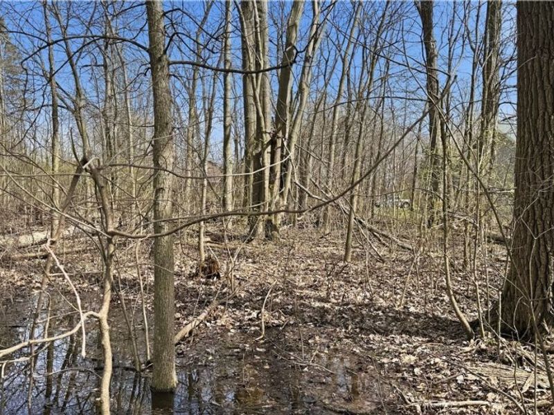 3320 Sandy Lane, Avon, OH 44011 Photo 12