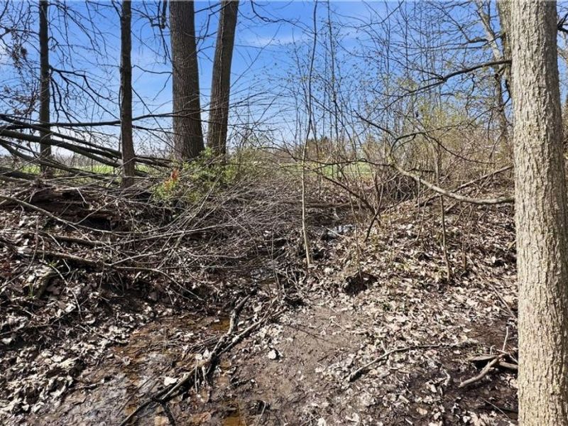 3320 Sandy Lane, Avon, OH 44011 Photo 13