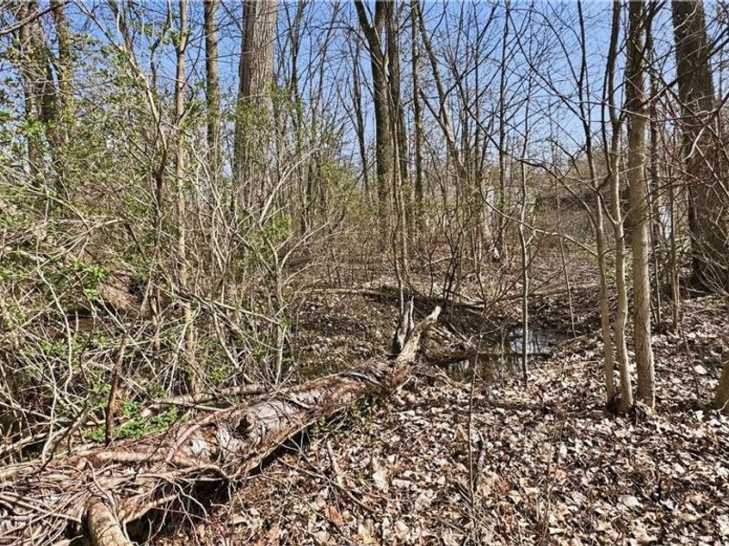 3320 Sandy Lane, Avon, OH 44011 Photo 14