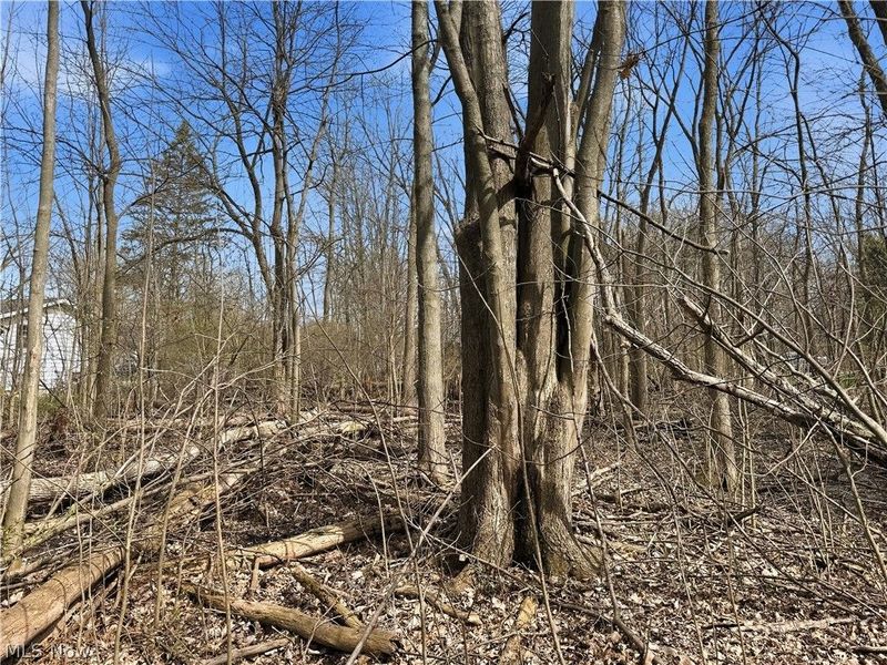 3320 Sandy Lane, Avon, OH 44011 Photo 15