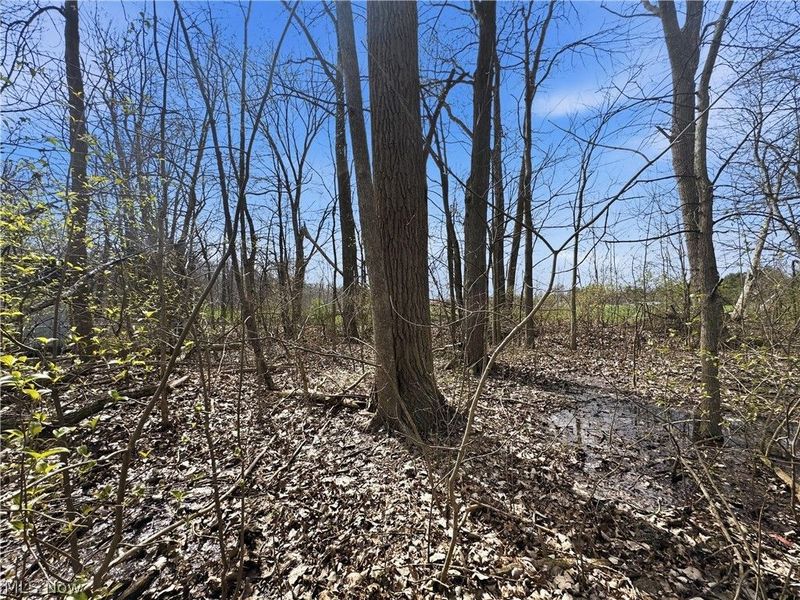 3320 Sandy Lane, Avon, OH 44011 Photo 16