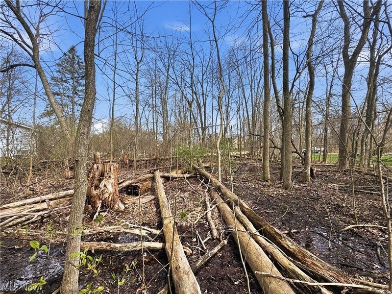 3320 Sandy Lane, Avon, OH 44011 Photo 17