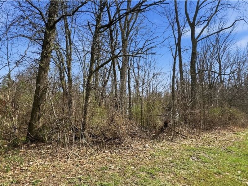 3320 Sandy Lane, Avon, OH 44011 Photo 18