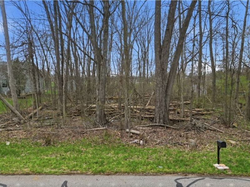 3320 Sandy Lane, Avon, OH 44011 Photo 3