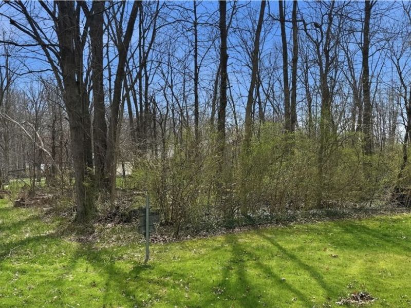 3320 Sandy Lane, Avon, OH 44011 Photo 7