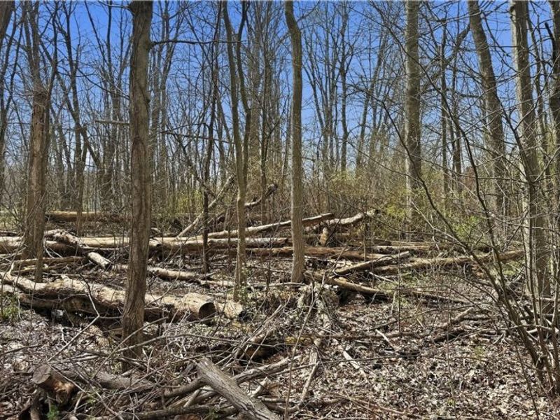 3320 Sandy Lane, Avon, OH 44011 Photo 9