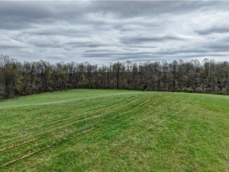 75964 Science Hill Road, Newcomerstown, OH 43773 Photo 13