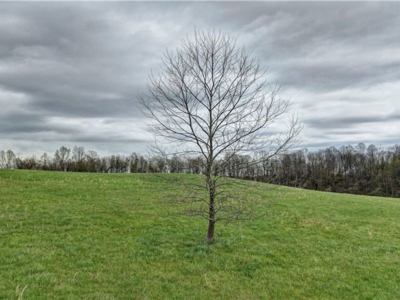 75964 Science Hill Road, Newcomerstown, OH 43773 Photo 15