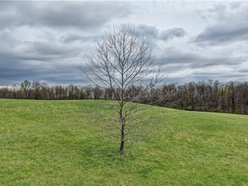 75964 Science Hill Road, Newcomerstown, OH 43773 Photo 28