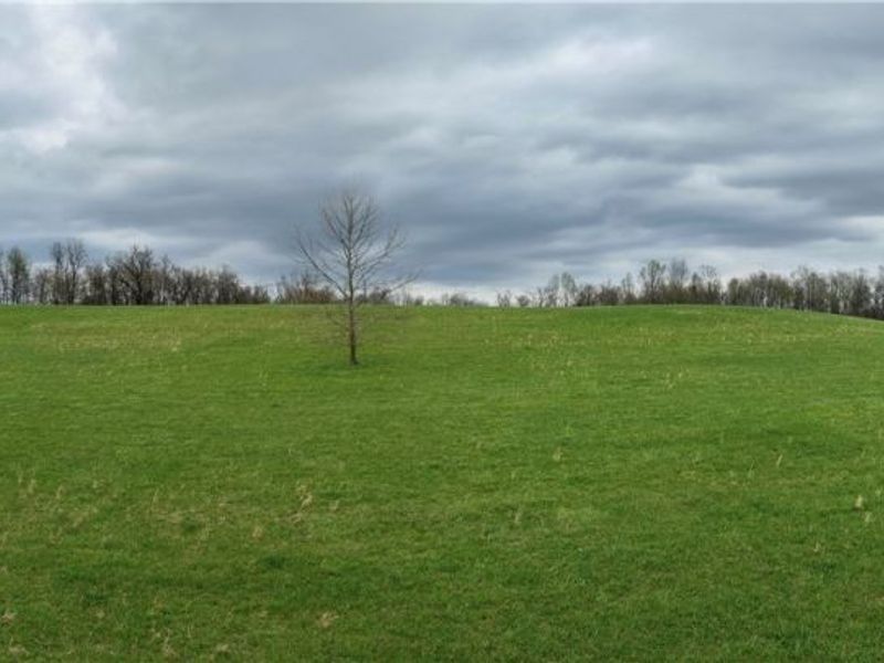 75964 Science Hill Road, Newcomerstown, OH 43773 Photo 32