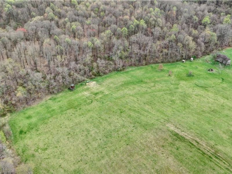 75964 Science Hill Road, Newcomerstown, OH 43773 Photo 6