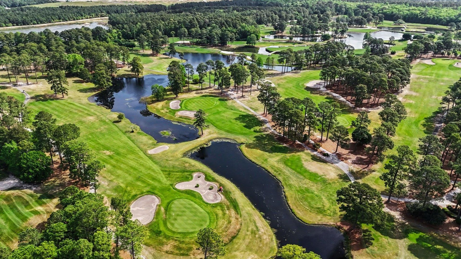 1500 Wood Stork Dr. Photo 35