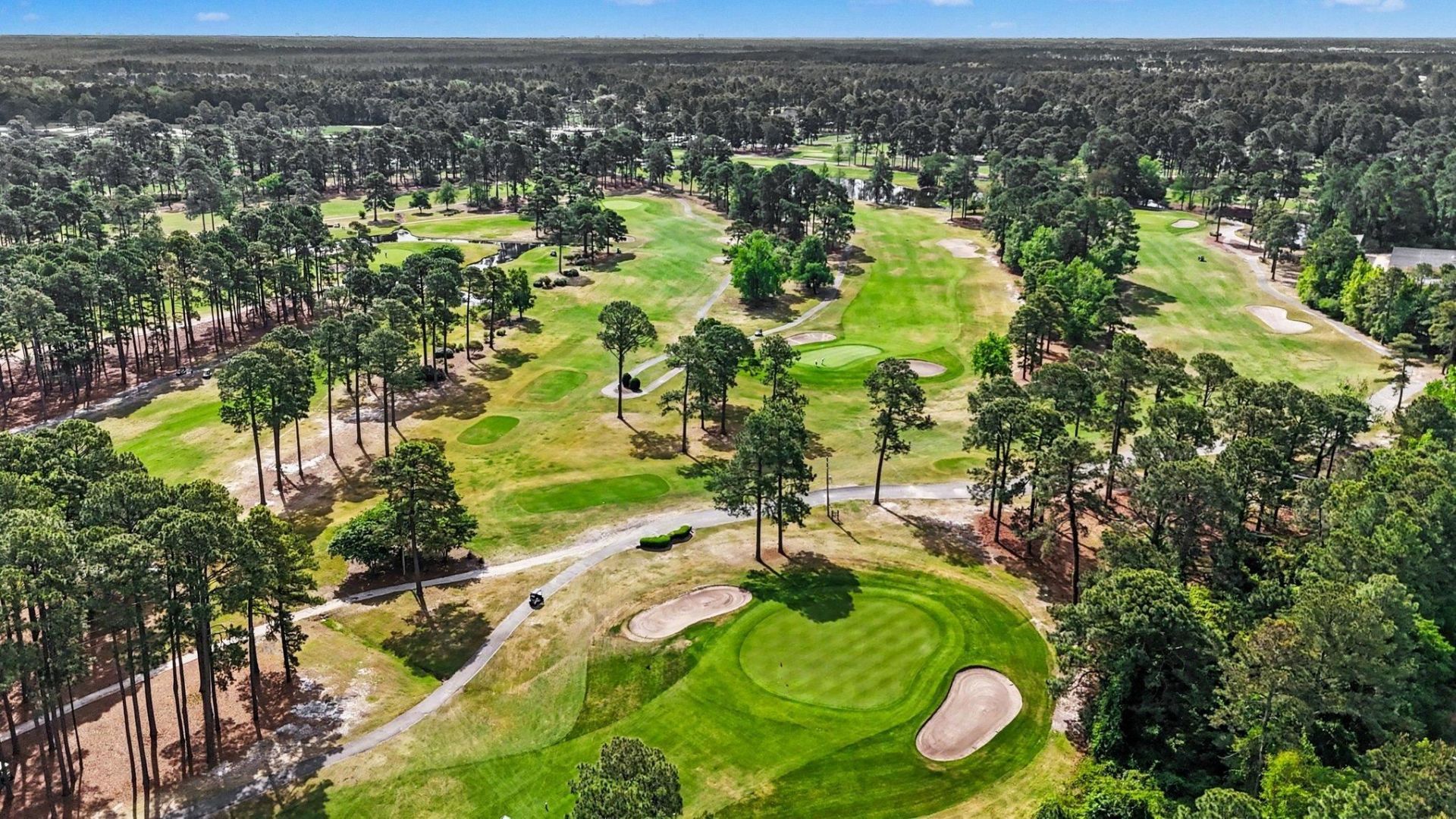 1500 Wood Stork Dr. Photo 37