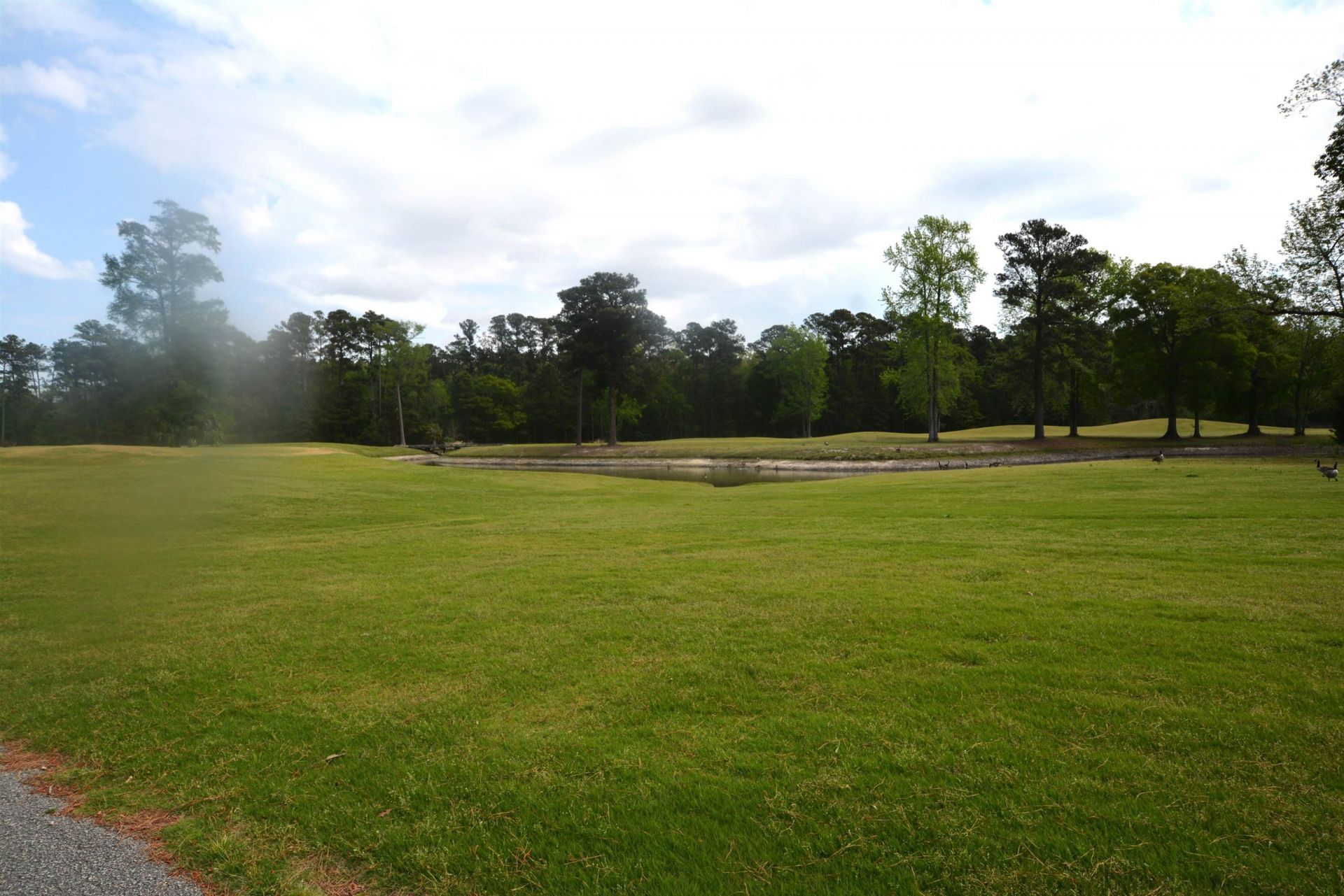 650 River Oaks Dr. Photo 4