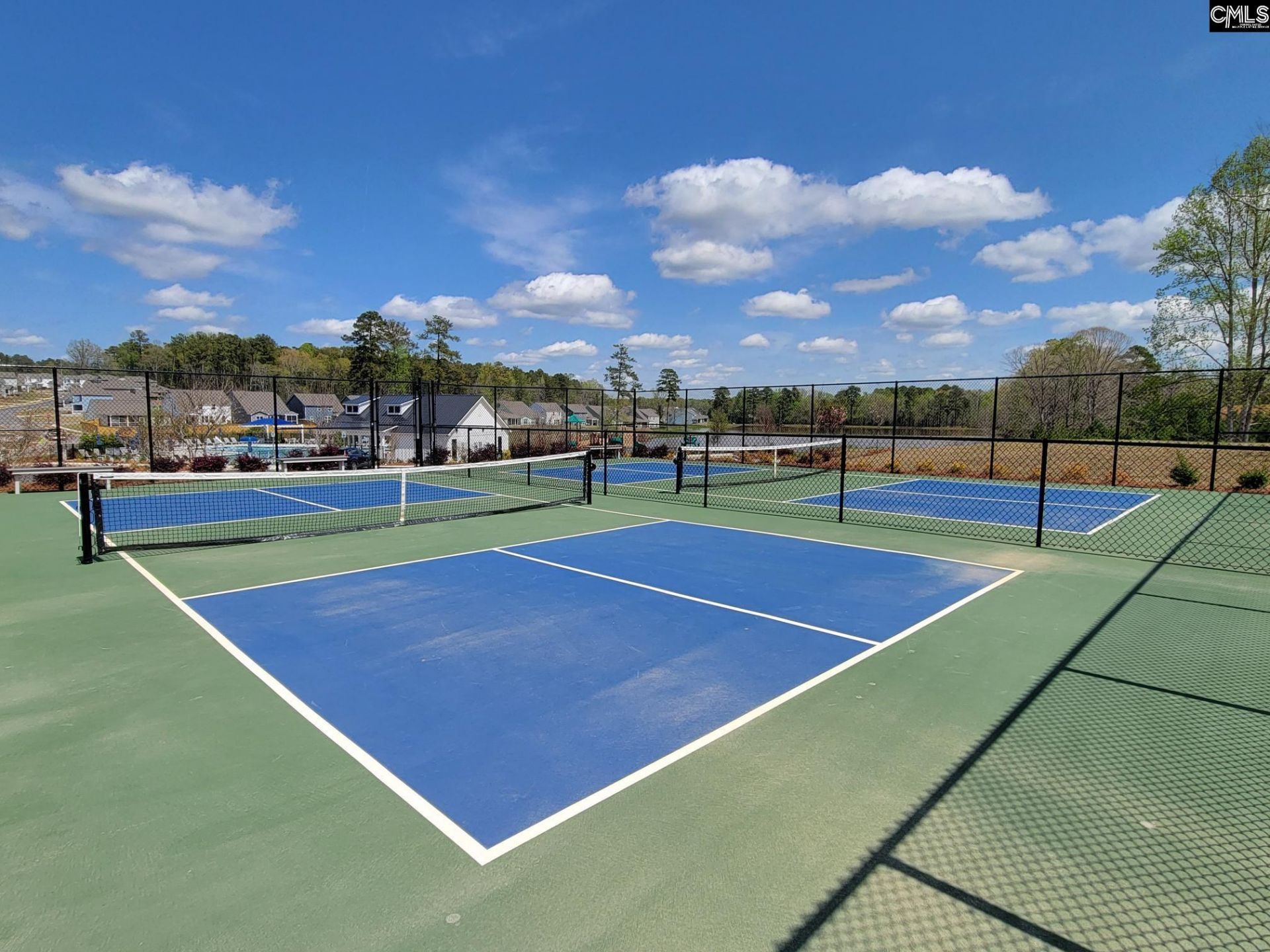 427 Edith Court Photo 47