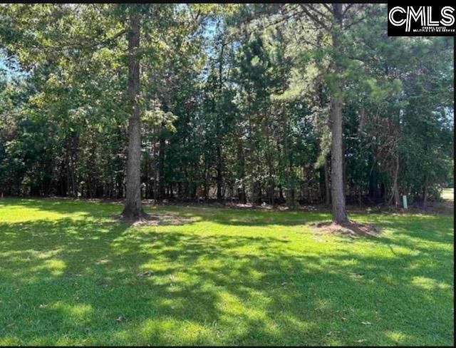 255 Lake Estates Drive  Photo 4