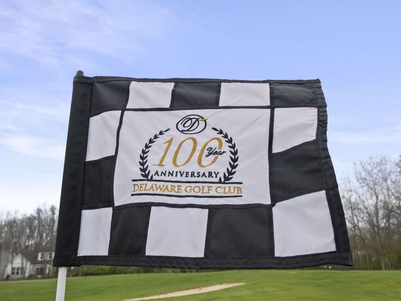 803 Covered Bridge Drive, Delaware, OH 43015 Photo 82