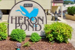 6813 Porcher Dr. photo 4