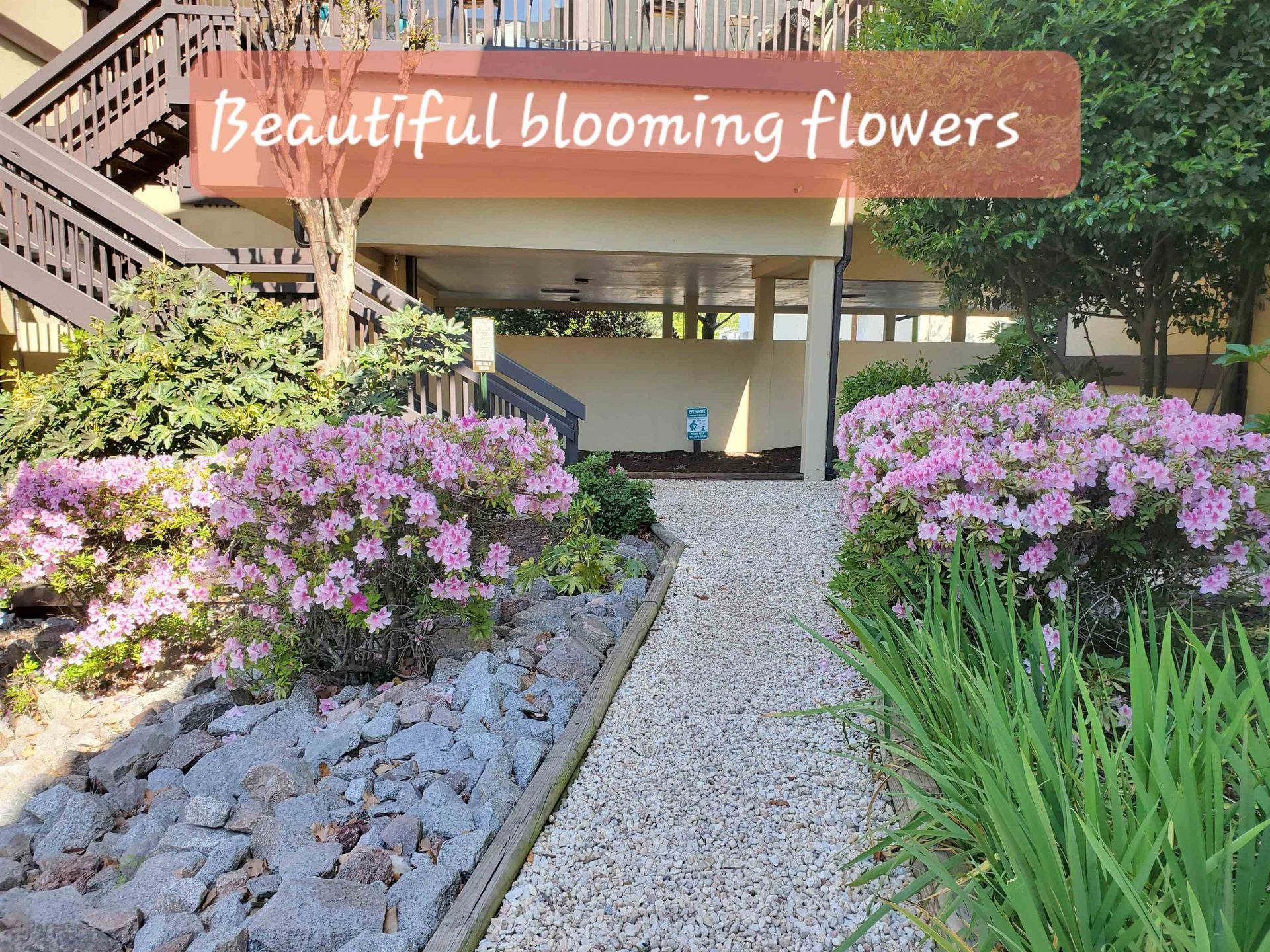 6813 Porcher Dr. Photo 43