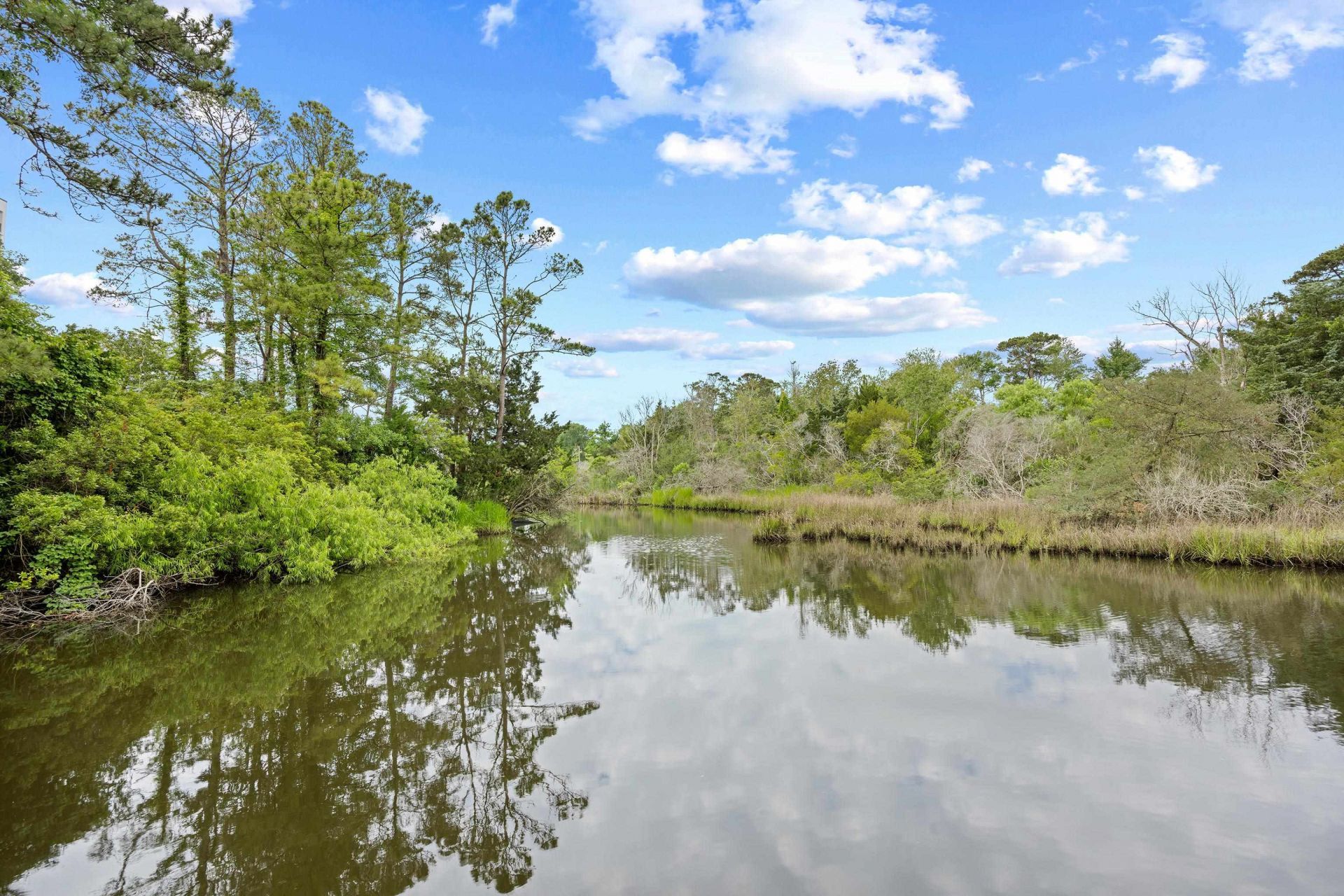 6813 Porcher Dr. Photo 8