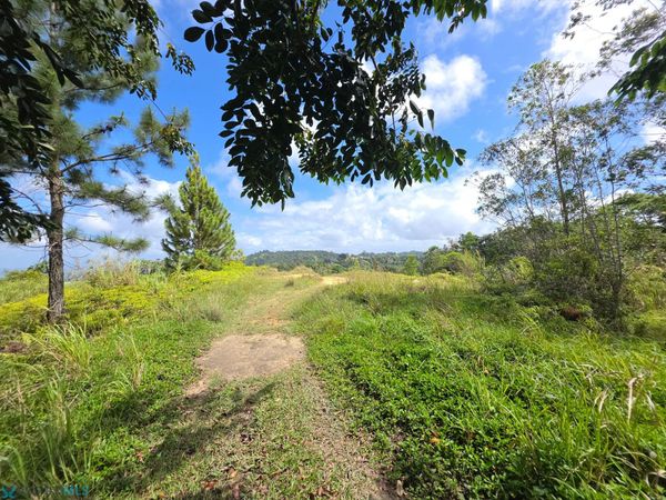 781 k 1.9 BO. JUAN ASCENCIO, Unit 781, Aguas Buenas, PR 00703