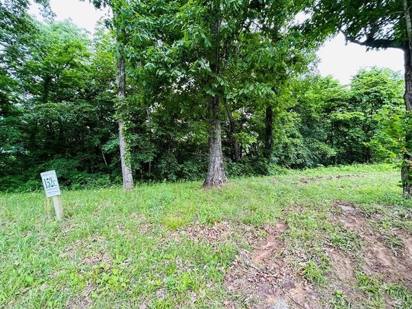 lot 152C Swan Ridge Rd, Hilham, TN 38568