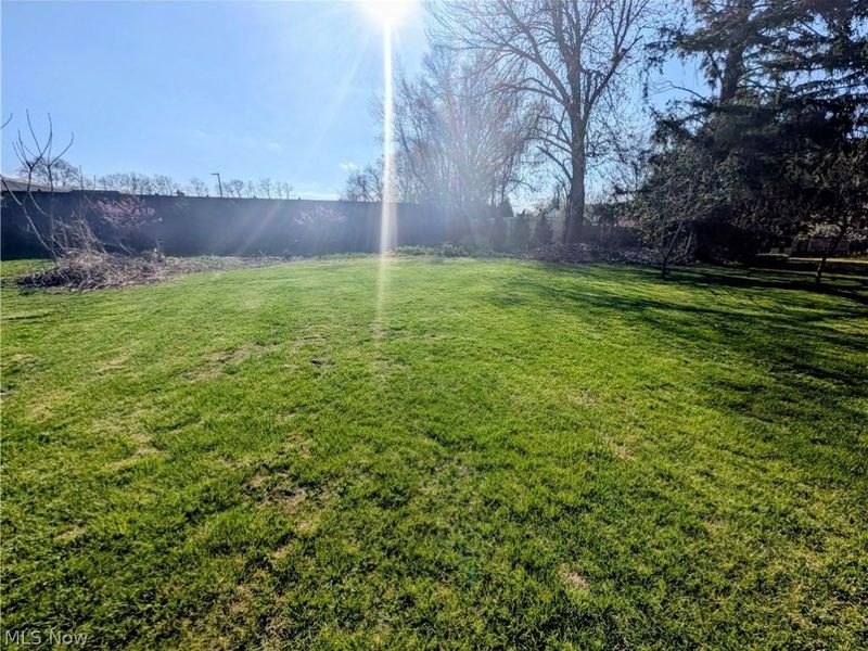 7394 Hart Street, Mentor, OH 44060 Photo 16