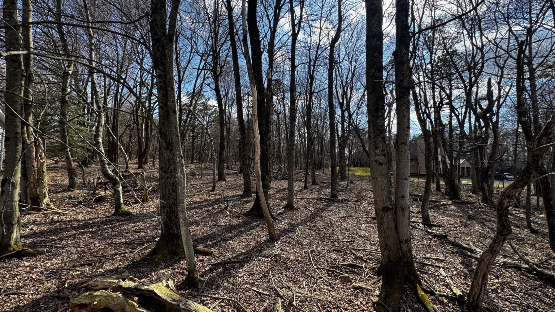 0 Stony Mountain, Albrightsville, PA 18210 Main Photo