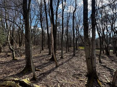 0 STONY MOUNTAIN, ALBRIGHTSVILLE, PA 18210