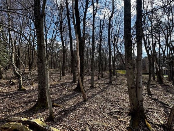 0 STONY MOUNTAIN, ALBRIGHTSVILLE, PA 18210