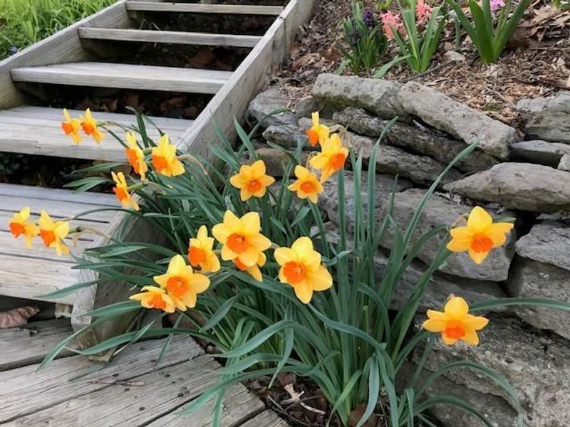 2066 Tolbert Road, Wayne Township, OH 45011 Photo 32