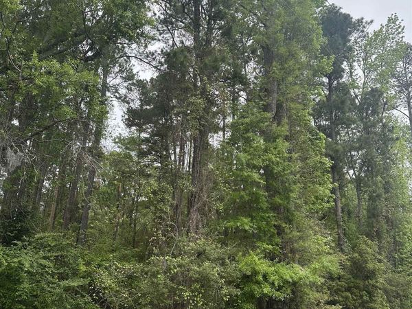 TBD Creekside Dr. , Myrtle Beach, SC 29588