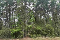 Tbd Creekside Dr. photo 4