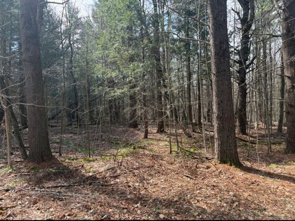 0 Island Acres Rd, Blandford, MA 01008