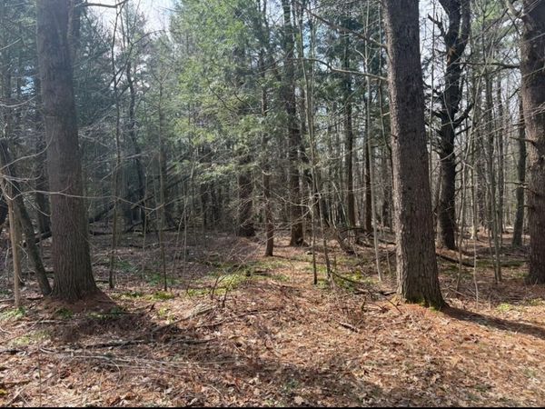 0 Island Acres Rd, Blandford, MA 01008